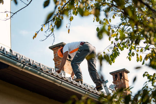 Best Commercial Roofing Services  in Lexington, TN