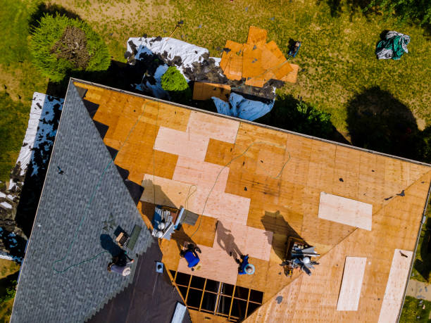 Best Roof Leak Repair  in Lexington, TN